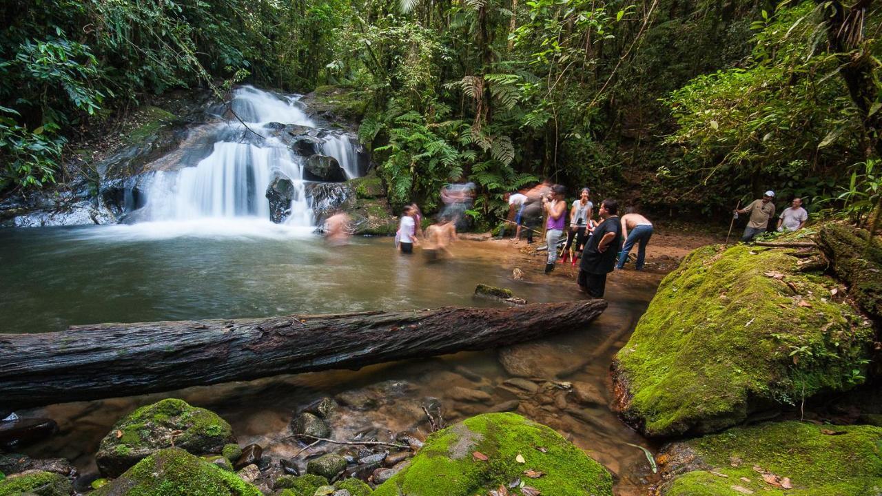 Pousada Salve Floresta Tapirai Bagian luar foto