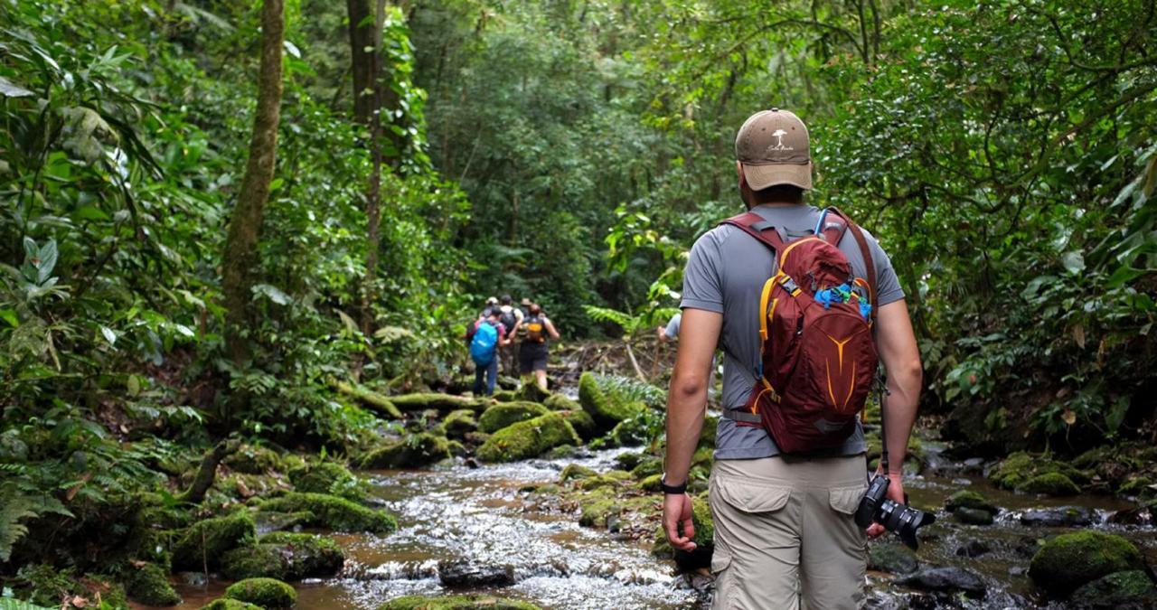 Pousada Salve Floresta Tapirai Bagian luar foto