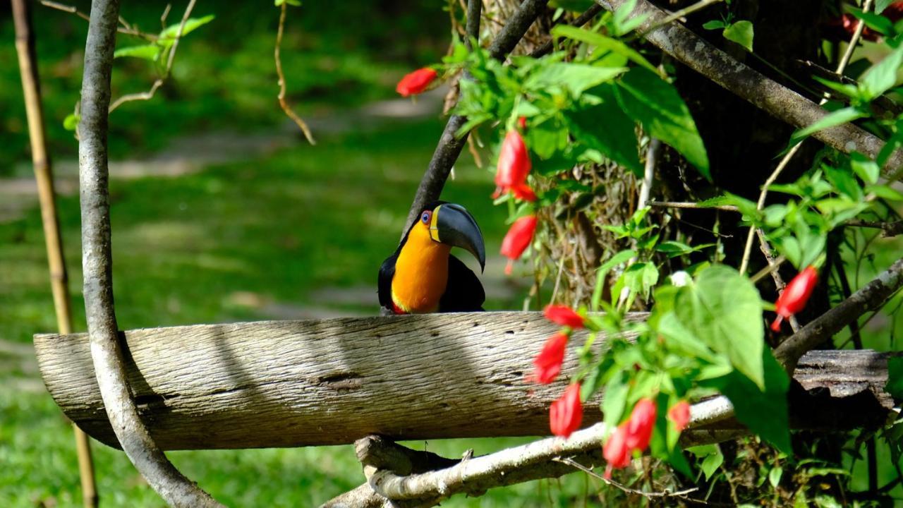 Pousada Salve Floresta Tapirai Bagian luar foto