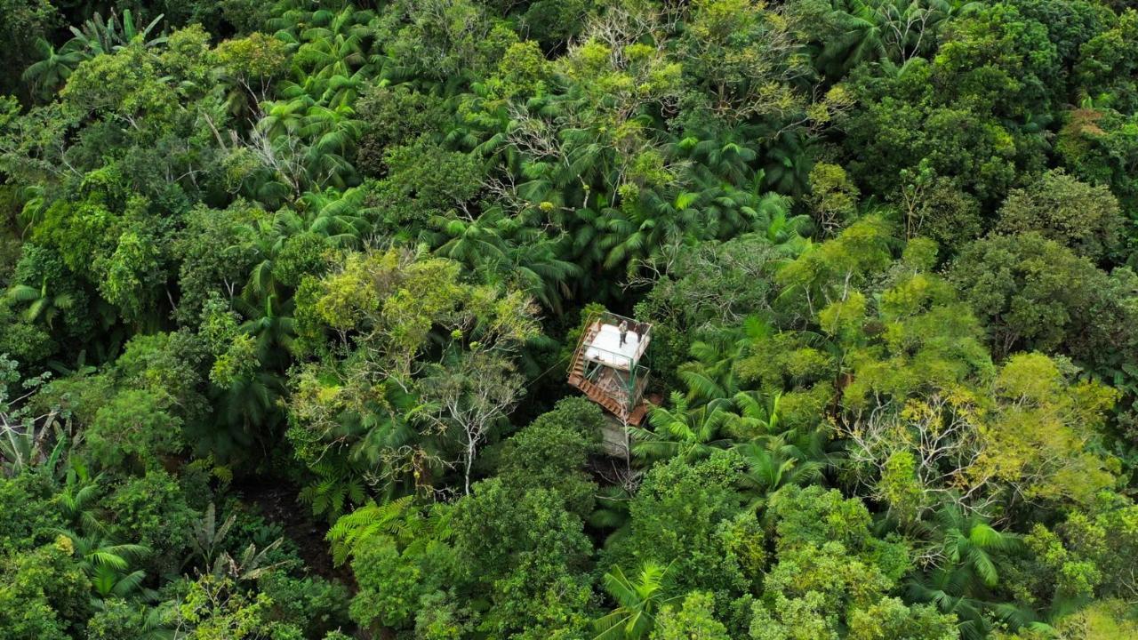 Pousada Salve Floresta Tapirai Bagian luar foto