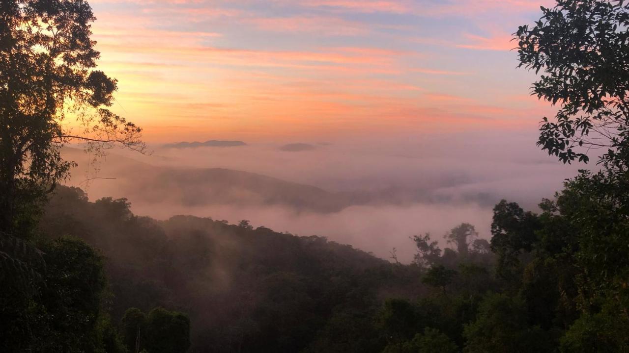 Pousada Salve Floresta Tapirai Bagian luar foto