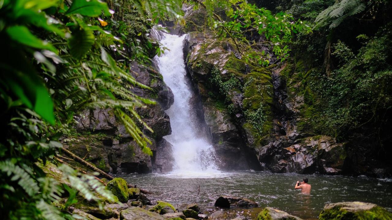 Pousada Salve Floresta Tapirai Bagian luar foto