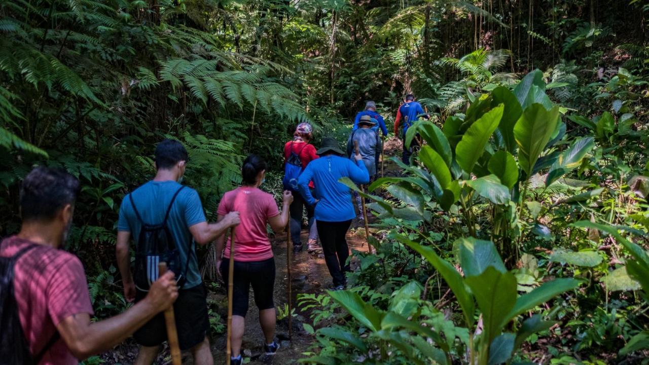 Pousada Salve Floresta Tapirai Bagian luar foto