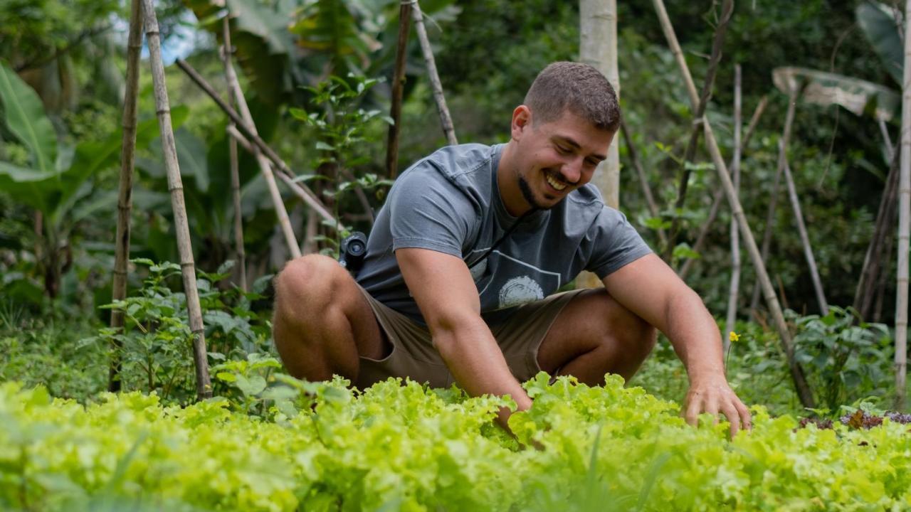 Pousada Salve Floresta Tapirai Bagian luar foto